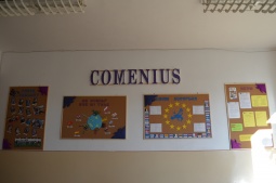 01 Comenius boards